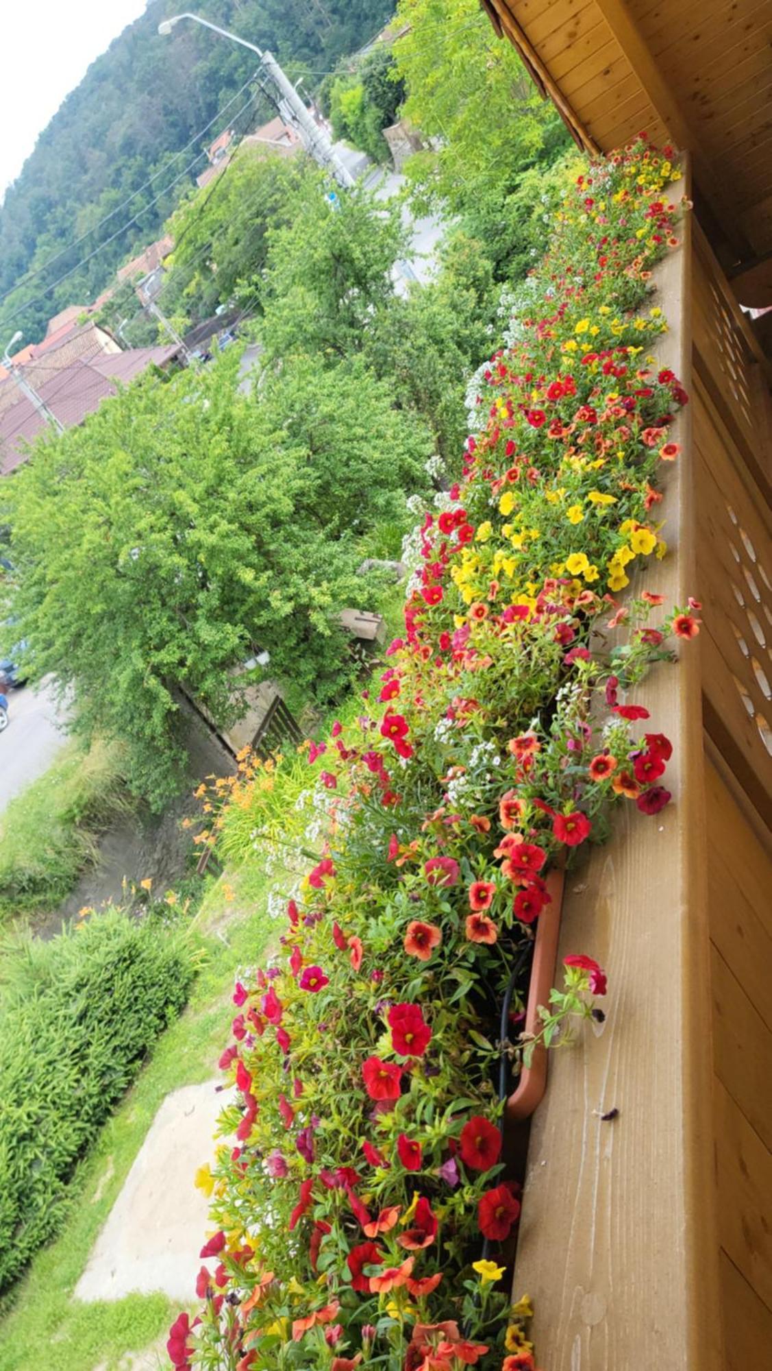 Casa Hetrea Villa Sighisoara Ngoại thất bức ảnh
